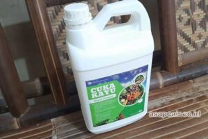 Produsen Cuka Kayu Wajo Harga Terjangkau