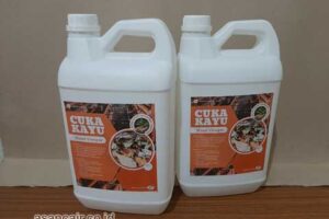 Jual Cuka Kayu Samosir Harga Terjangkau