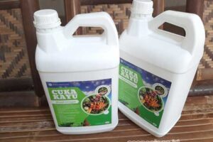 Kegunaan Cuka Kayu dan Bagaimana Cara Kerjanya?