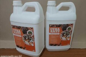 Jual Cuka Kayu Asmat Harga Terjangkau