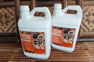 Jual Cuka Kayu Bangka Barat