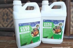 Jual Cuka Kayu Bangka Tengah Berkualitas