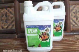 Jual Cuka Kayu Deiyai Harga Terjangkau