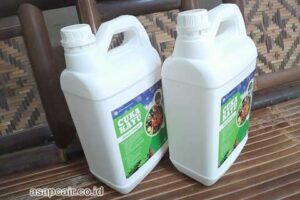 Jual Cuka Kayu Dharmasraya Berkualitas