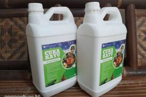 Jual Cuka Kayu Ende Harga Terjangkau