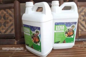 Jual Cuka Kayu Humbang Hasundutan Berkualitas