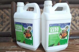 Jual Cuka Kayu Kaur Harga Terjangkau