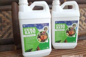 Jual Cuka Kayu Kepulauan Yapen