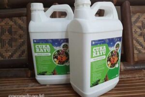 Jual Cuka Kayu Kota Kupang Berkualitas