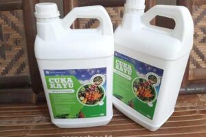 Jual Cuka Kayu Kupang Harga Terjangkau