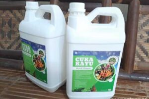 Jual Cuka Kayu Lebong Harga Terjangkau