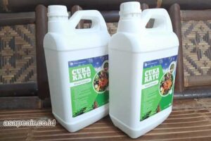 Jual Cuka Kayu Lima Puluh Kota