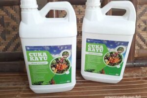 Jual Cuka Kayu Lombok Timur Berkualitas