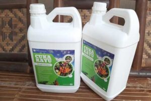 Jual Cuka Kayu Malaka Berkualitas