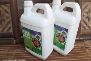 Jual Cuka Kayu Manggarai Barat