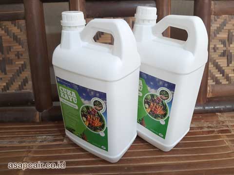 Jual Cuka Kayu Manggarai Barat