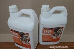 Jual Cuka Kayu Mappi Harga Terjangkau