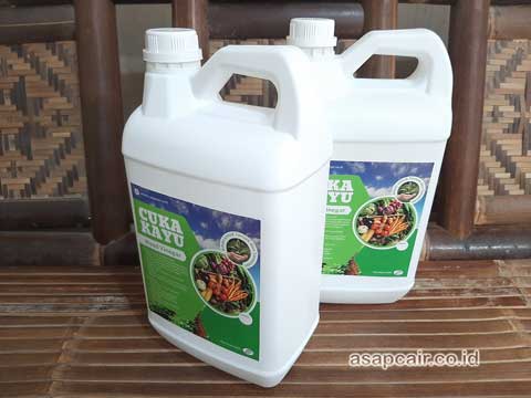 Jual Cuka Kayu Maybrat Berkualitas