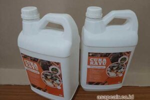 Jual Cuka Kayu Merauke Harga Terjangkau