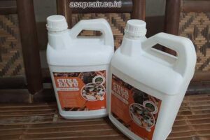 Jual Cuka Kayu Padang Sidempuan Berkualitas