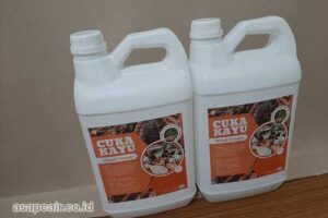 Jual Cuka Kayu Pangkalpinang Berkualitas