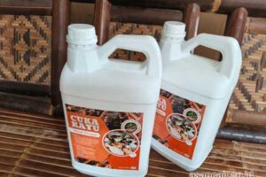 Jual Cuka Kayu Pasaman Harga Terjangkau