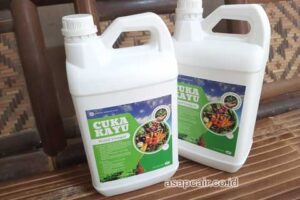 Jual Cuka Kayu Pesisir Selatan Berkualitas