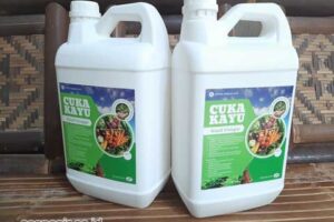 Jual Cuka Kayu Rejang Lebong Berkualitas