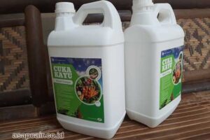 Jual Cuka Kayu Sarmi Harga Terjangkau