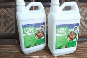 Jual Cuka Kayu Solok Harga Terjangkau