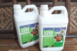 Jual Cuka Kayu Sorong Selatan Berkualitas