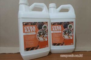 Jual Cuka Kayu Tapanuli Selatan Berkualitas