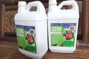 Jual Cuka Kayu Teluk Bintuni Berkualitas