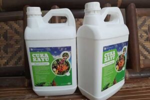 Jual Cuka Kayu Timor Tengah Selatan