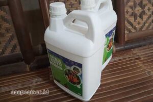 Jual Cuka Kayu Toba Harga Terjangkau