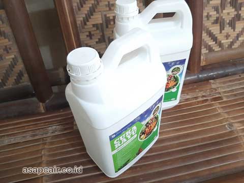 Jual Cuka Kayu Yalimo Harga Terjangkau