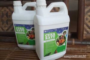 Produsen Cuka Kayu Alor Harga Terjangkau