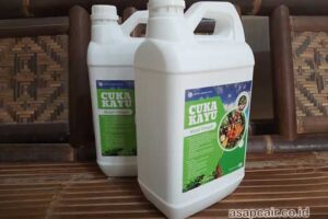 Produsen Cuka Kayu Bima Harga Terjangkau