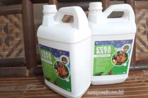 Produsen Cuka Kayu Deli Serdang Berkualitas