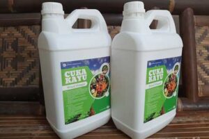 Produsen Cuka Kayu Flores Timur Berkualitas