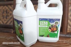 Produsen Cuka Kayu Karo Harga Terjangkau