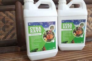 Produsen Cuka Kayu Keerom Harga Terjangkau