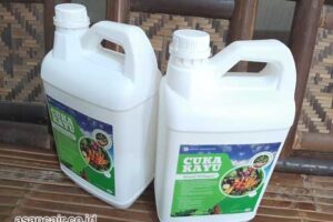 Produsen Cuka Kayu Kepahiang Berkualitas