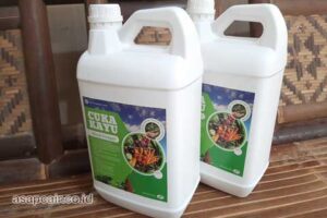 Produsen Cuka Kayu Kota Jayapura