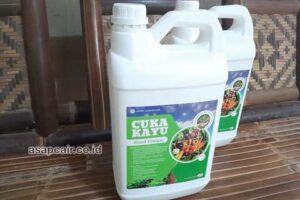 Produsen Cuka Kayu Labuhanbatu Selatan