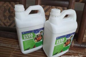 Produsen Cuka Kayu Lembata Berkualitas