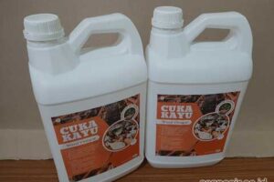 Produsen Cuka Kayu Lombok Tengah