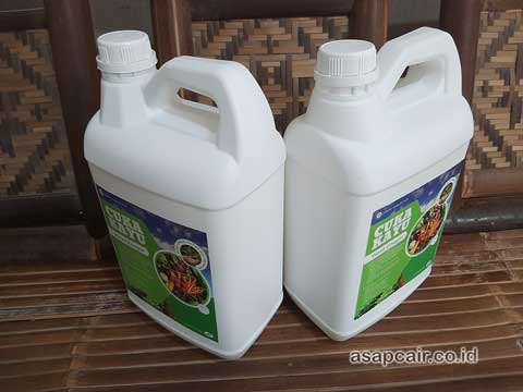 Produsen Cuka Kayu Mamberamo Raya