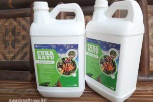 Produsen Cuka Kayu Manggarai Berkualitas