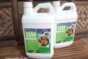 Produsen Cuka Kayu Manokwari Berkualitas